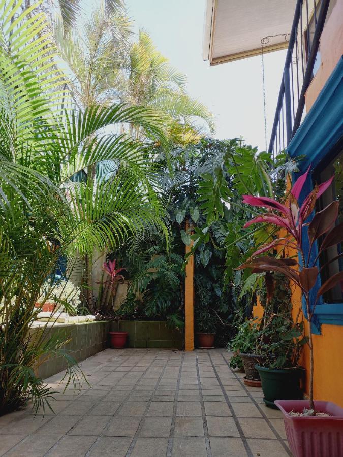 Nirvana Apartament Hostal Río Segundo エクステリア 写真