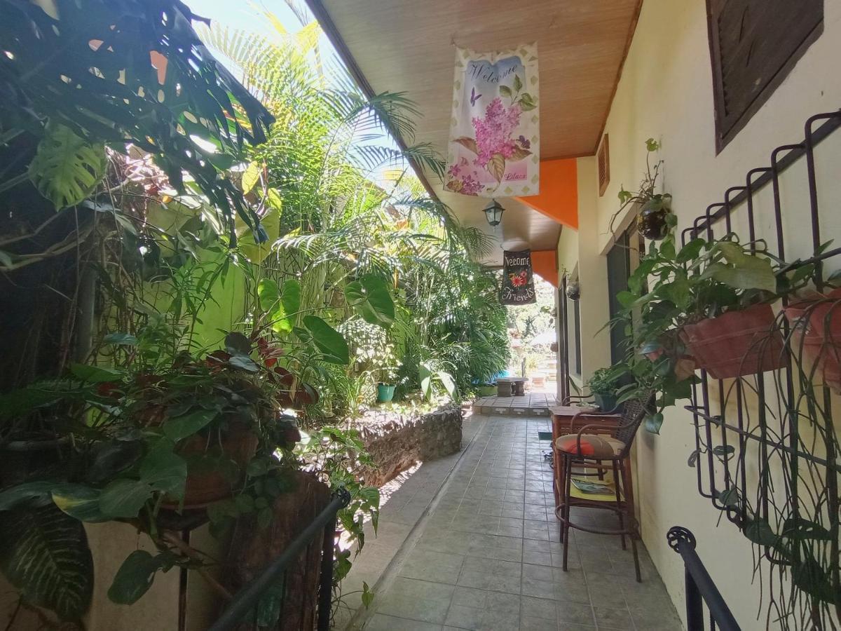 Nirvana Apartament Hostal Río Segundo エクステリア 写真