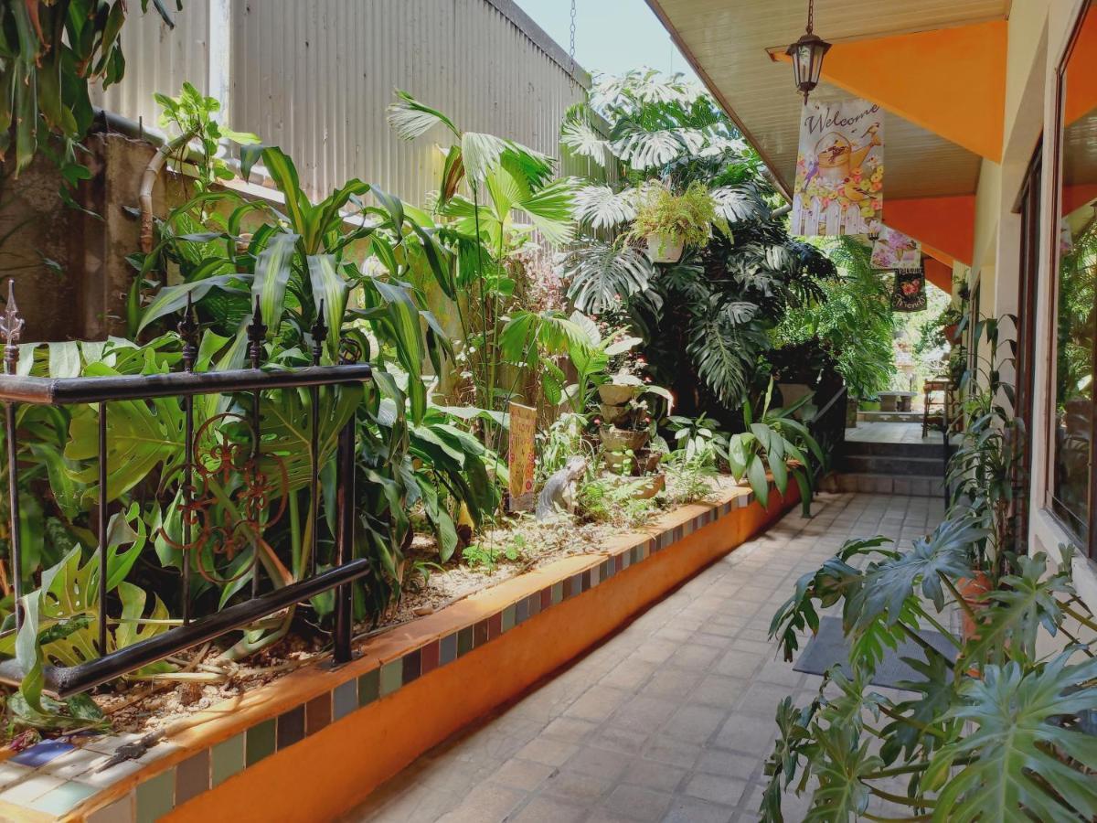 Nirvana Apartament Hostal Río Segundo エクステリア 写真
