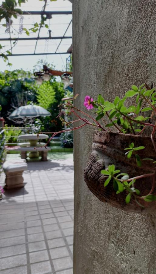 Nirvana Apartament Hostal Río Segundo エクステリア 写真