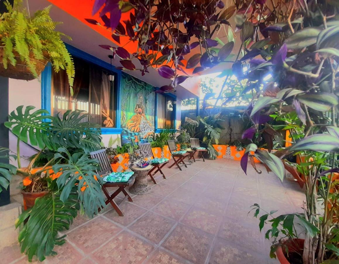 Nirvana Apartament Hostal Río Segundo エクステリア 写真