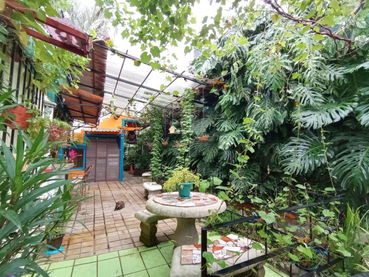 Nirvana Apartament Hostal Río Segundo エクステリア 写真